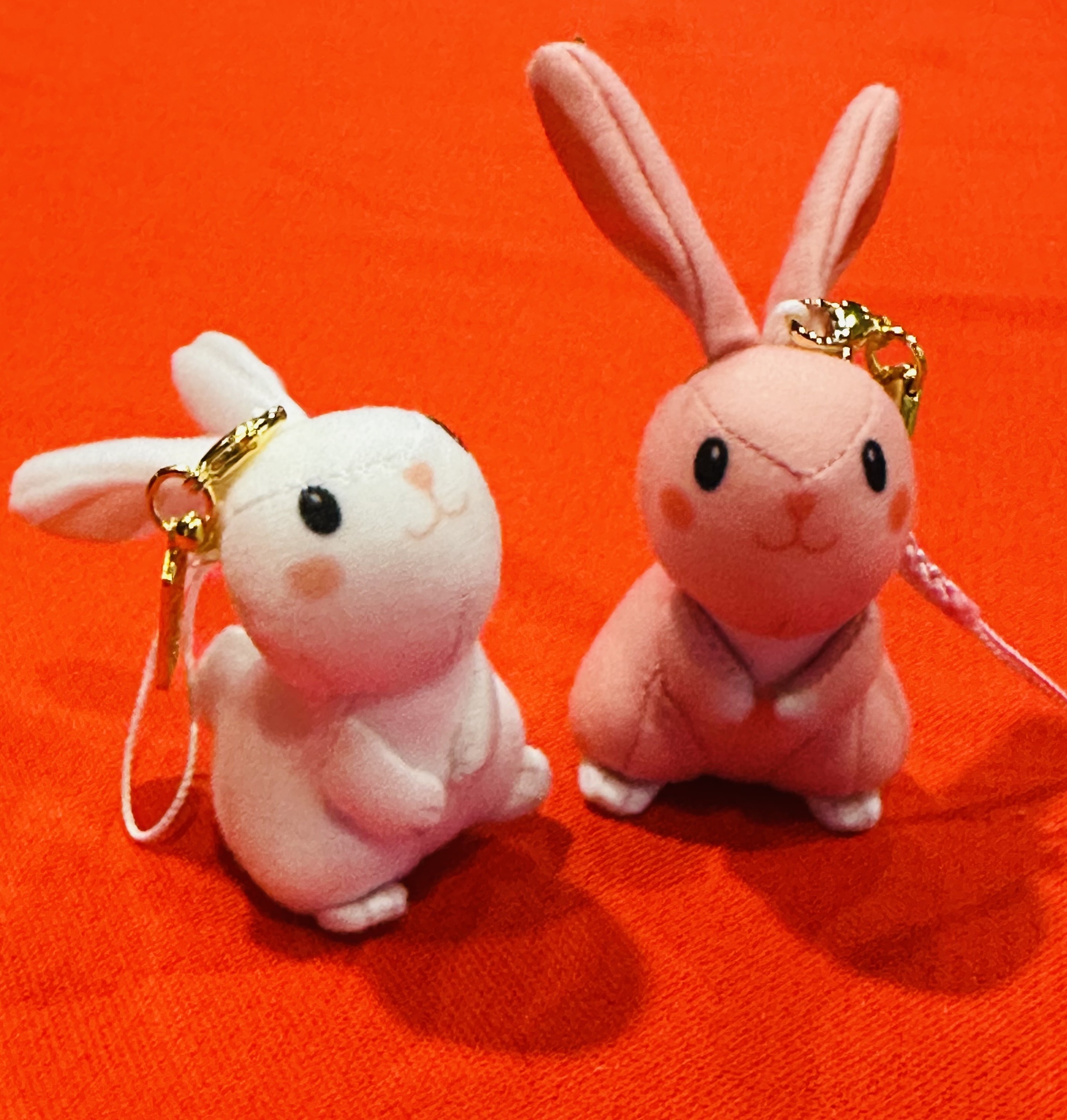 うさぎぬいぐるみまもり